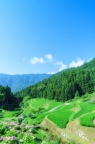 夏の気配
